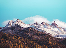 凯尔特人送国王8连败 普理查德29+8 科塔10+15