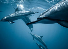 开云移动端-贝尔：当年曼联报价更高仍选皇马，热刺不愿将我卖给英超对手