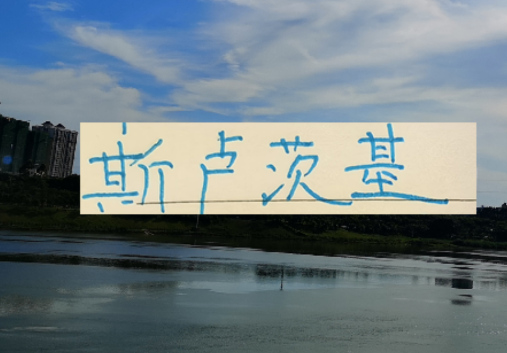 开云移动端-不怕盖伊不进球 ！ 就怕这哥们在申花发飙！进塞内加尔国家队